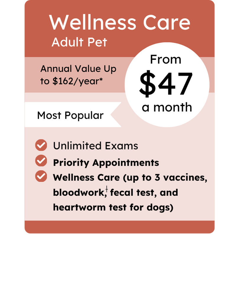 Integrity VIPet Plan_pricing_Wellness_Whimsical